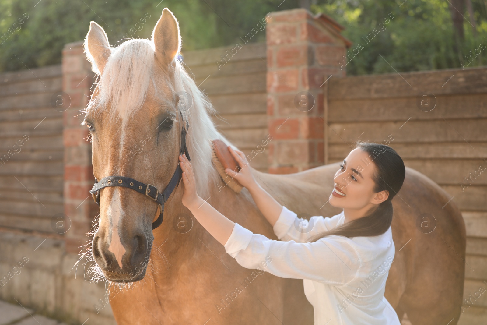 Photo of Woman brushing adorable horse outdoors. Pet care