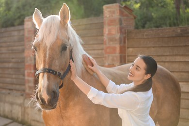 Woman brushing adorable horse outdoors. Pet care