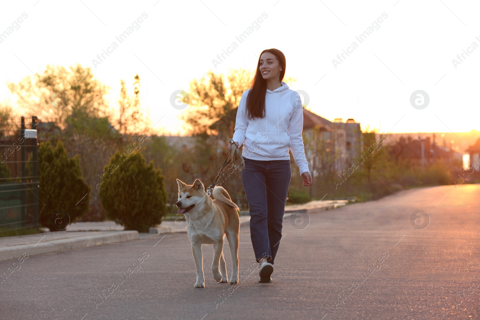 Photo of Young woman walking her adorable Akita Inu dog outdoors