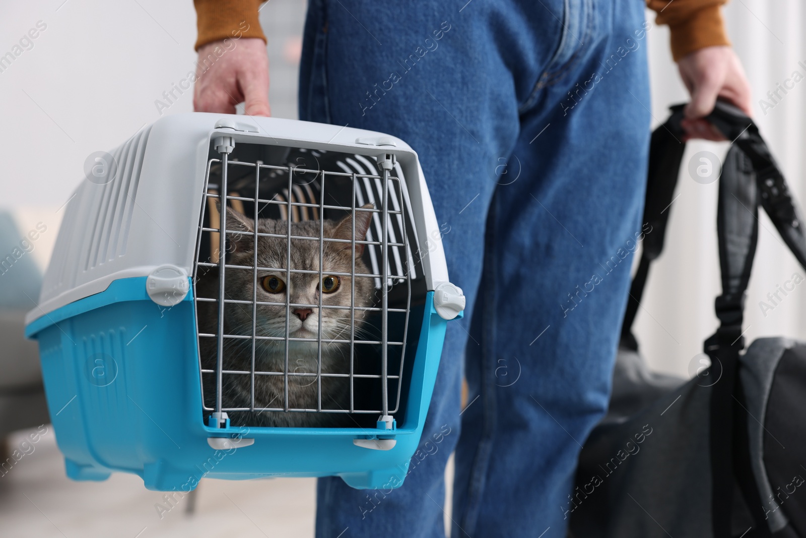 Photo of Travel with pet. Man holding carrier with cute cat and bag indoors, closeup