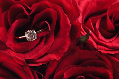Photo of Beautiful engagement ring with gemstone on roses, closeup