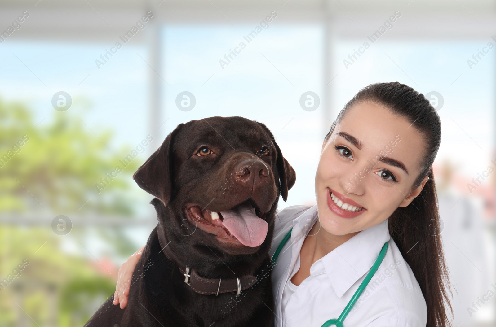 Image of Veterinarian doc with cute dog in clinic