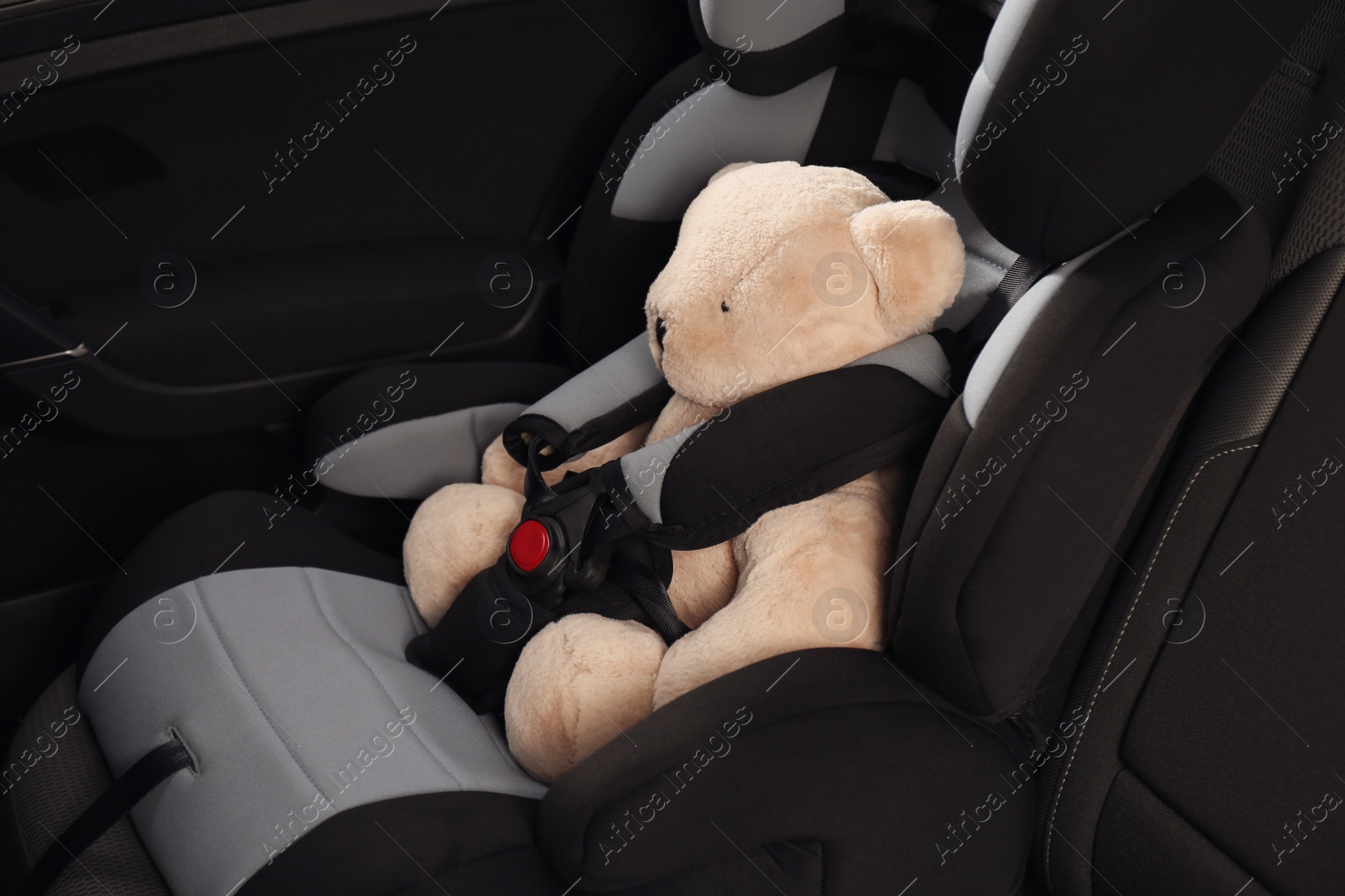 Photo of Teddy bear in child safety seat inside car