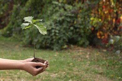 Photo of Woman holding pile of soil and sapling in park, closeup view with space for text. Planting tree