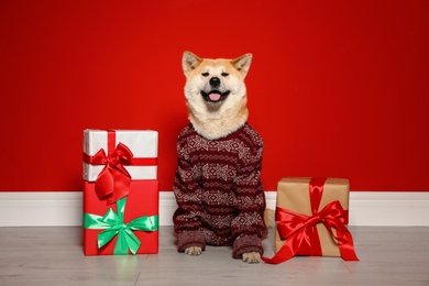Photo of Cute Akita Inu dog in Christmas sweater near gift boxes indoors