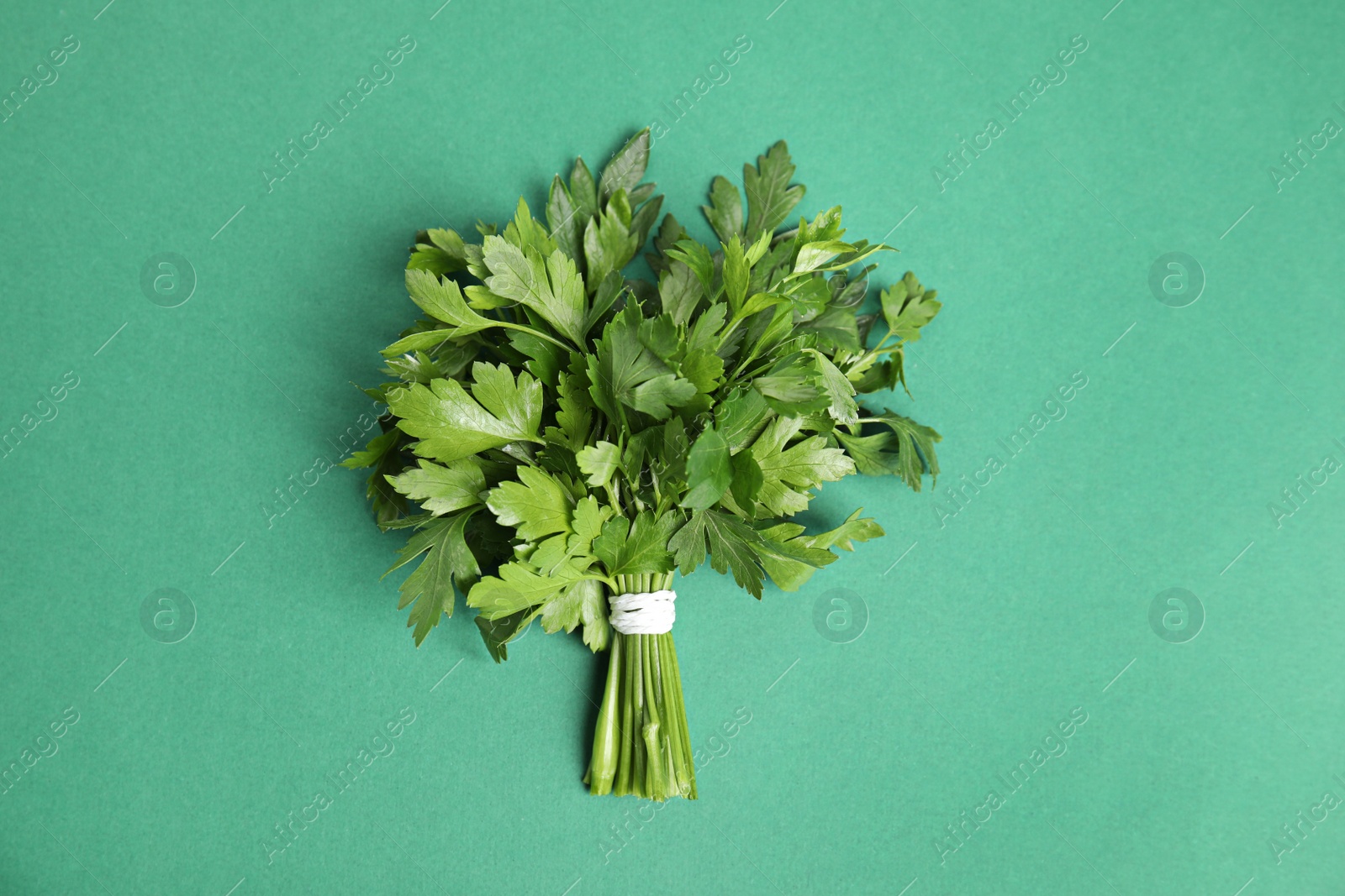 Photo of Bunch of fresh green parsley on color background, view from above