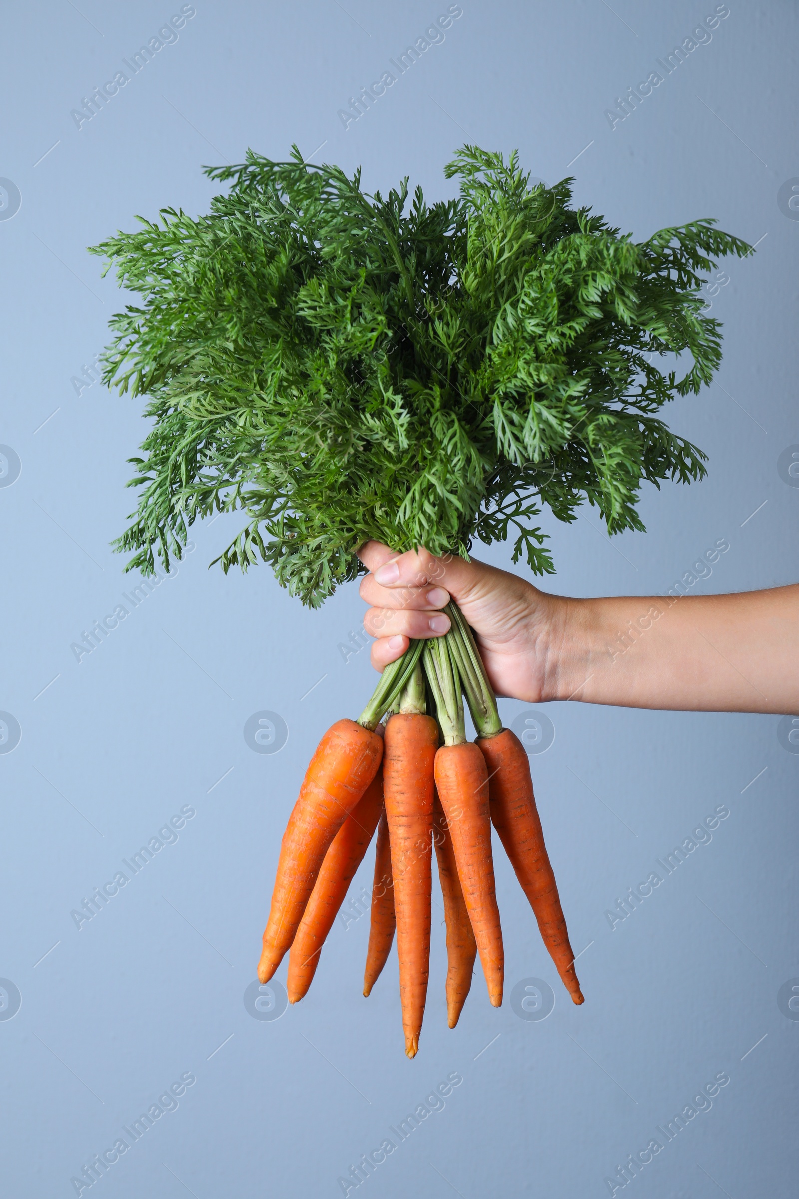 Photo of Woman holding ripe carrots on light blue background, closeup