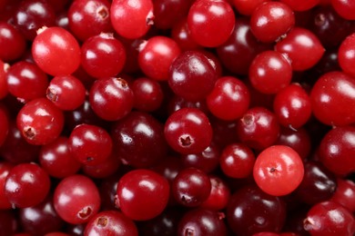 Photo of Fresh ripe cranberries as background, top view