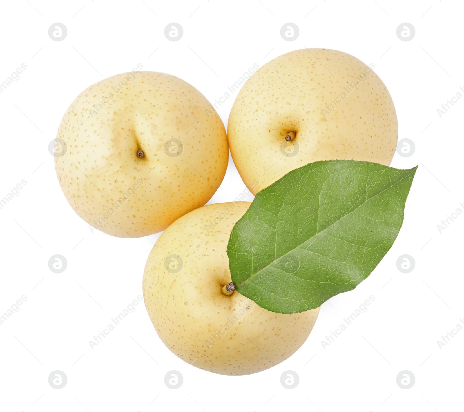 Photo of Delicious fresh apple pears isolated on white, top view