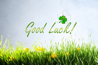 Image of Green grass with daffodils and phrase GOOD LUCK on light background