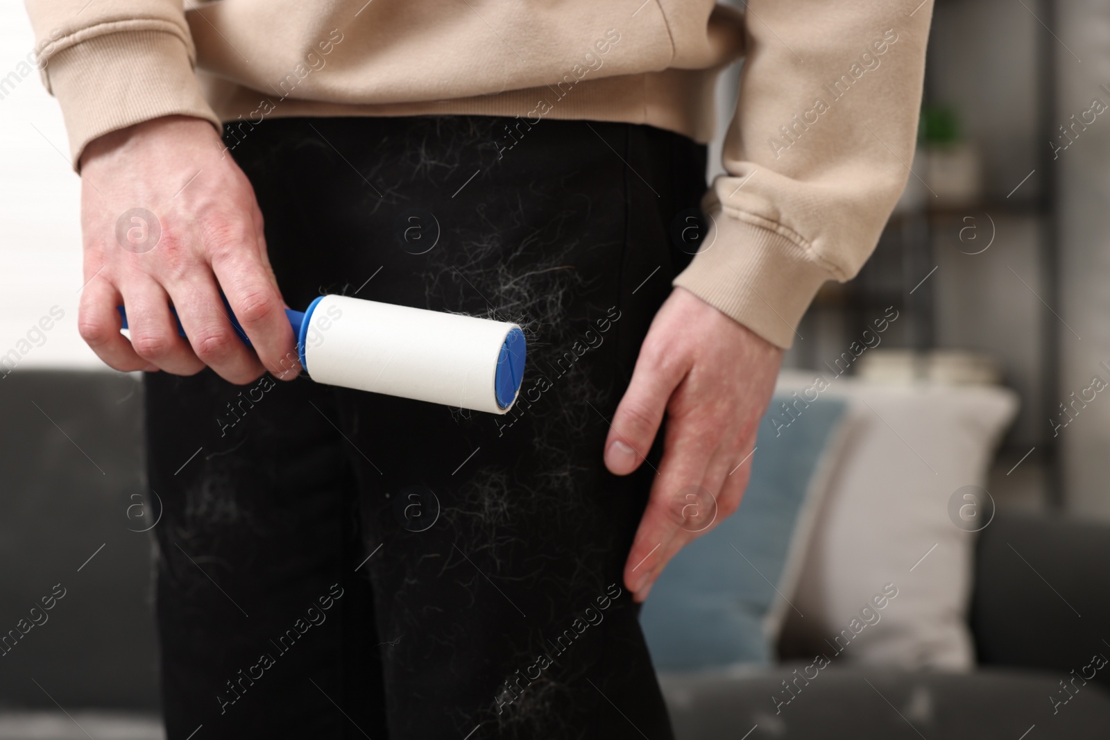 Photo of Pet shedding. Man with lint roller removing dog's hair from pants at home, closeup