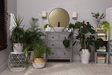 Photo of Stylish bathroom interior with modern furniture and beautiful green houseplants