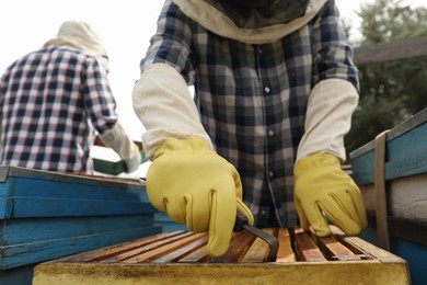 Photo of Beekeeper taking frame from hive at apiary, closeup. Harvesting honey