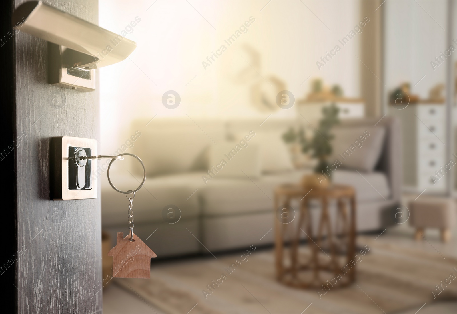 Image of Mortgage. Door with key open into room, space for text