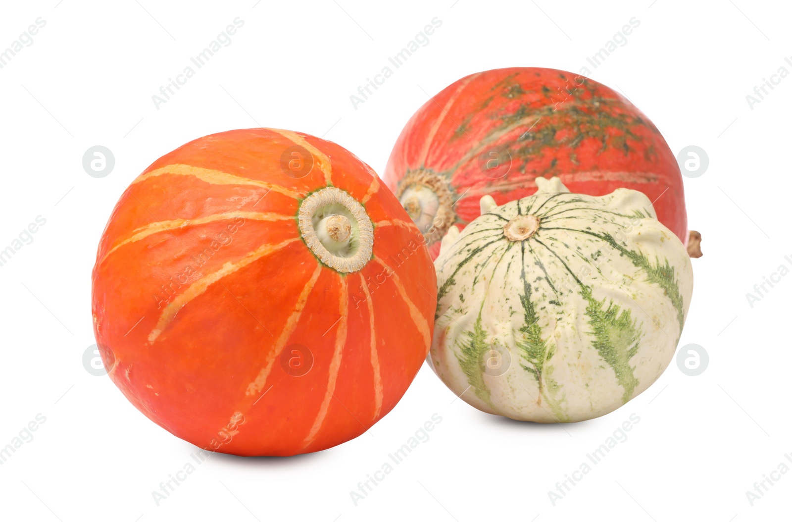 Photo of Different fresh ripe pumpkins isolated on white