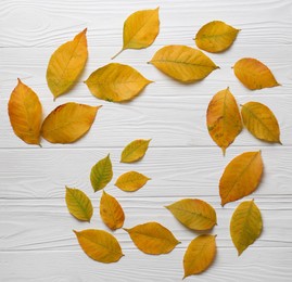 Photo of Autumn leaves on white wooden table, flat lay