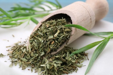 Scoop of dry tarragon and green leaves on white board, closeup