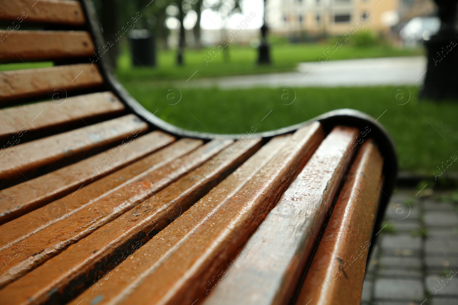 Photo of Wooden bench with water drops in park, closeup. Rainy weather
