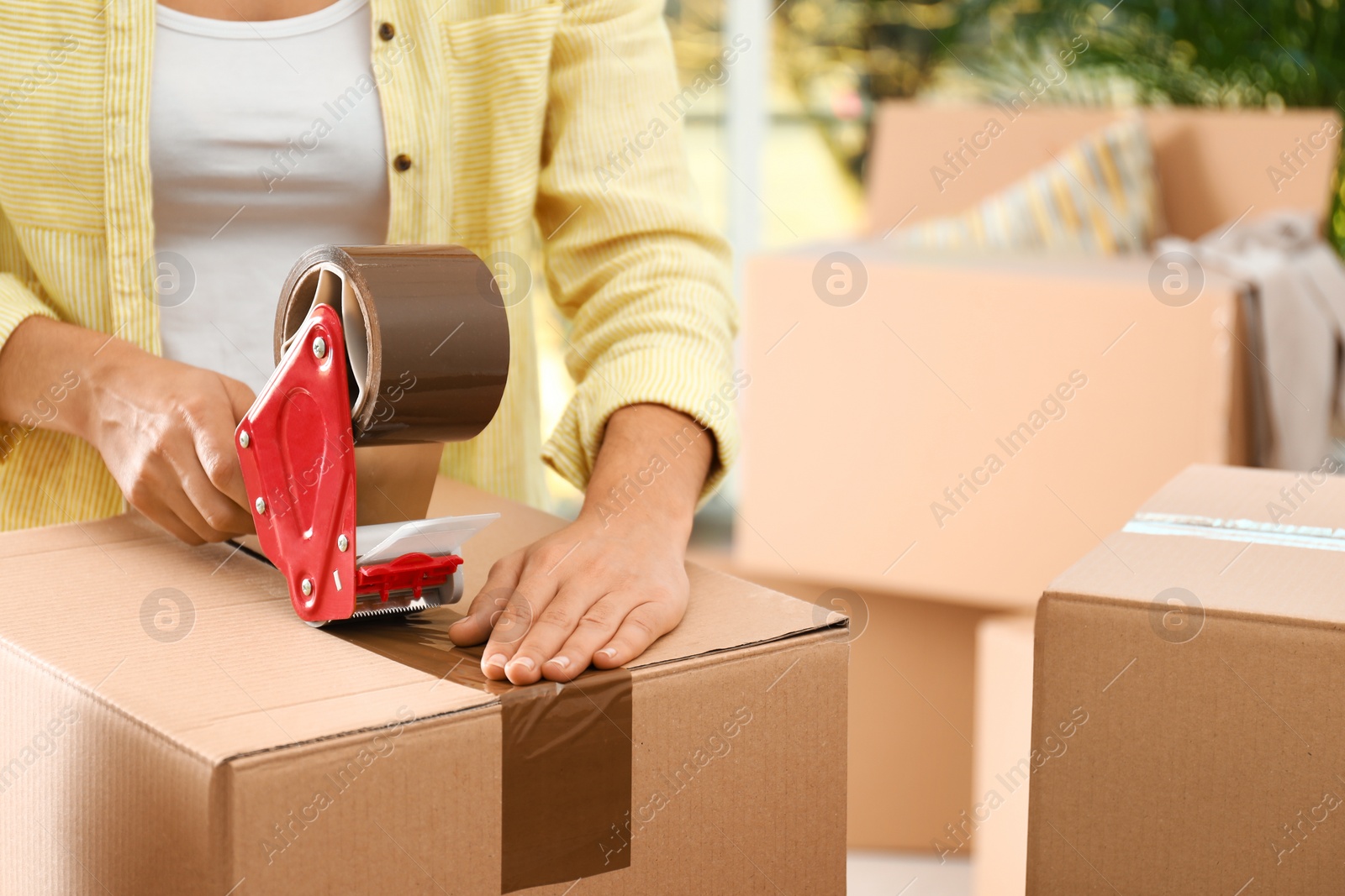 Photo of Woman packing box indoors, closeup. Moving day