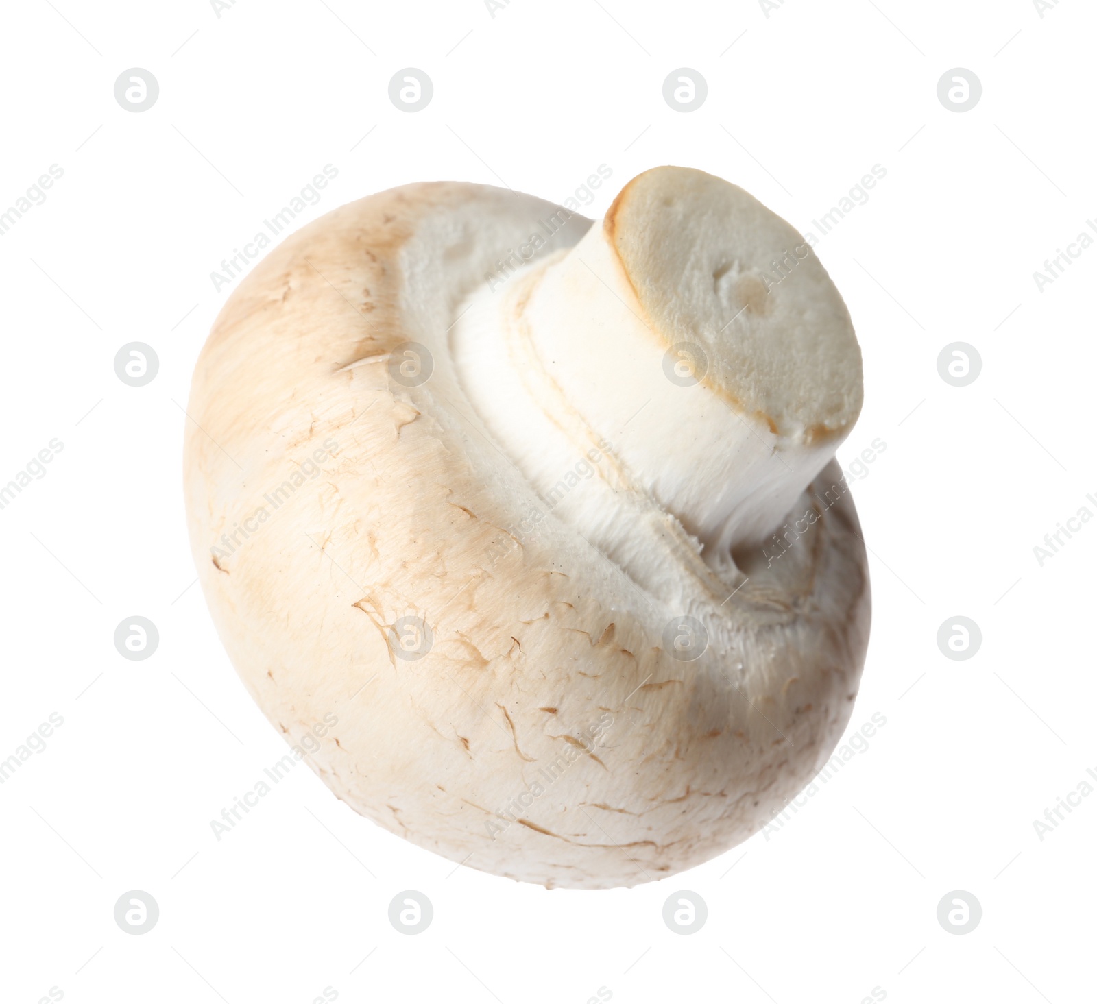 Photo of Fresh champignon mushroom isolated on white. Healthy food