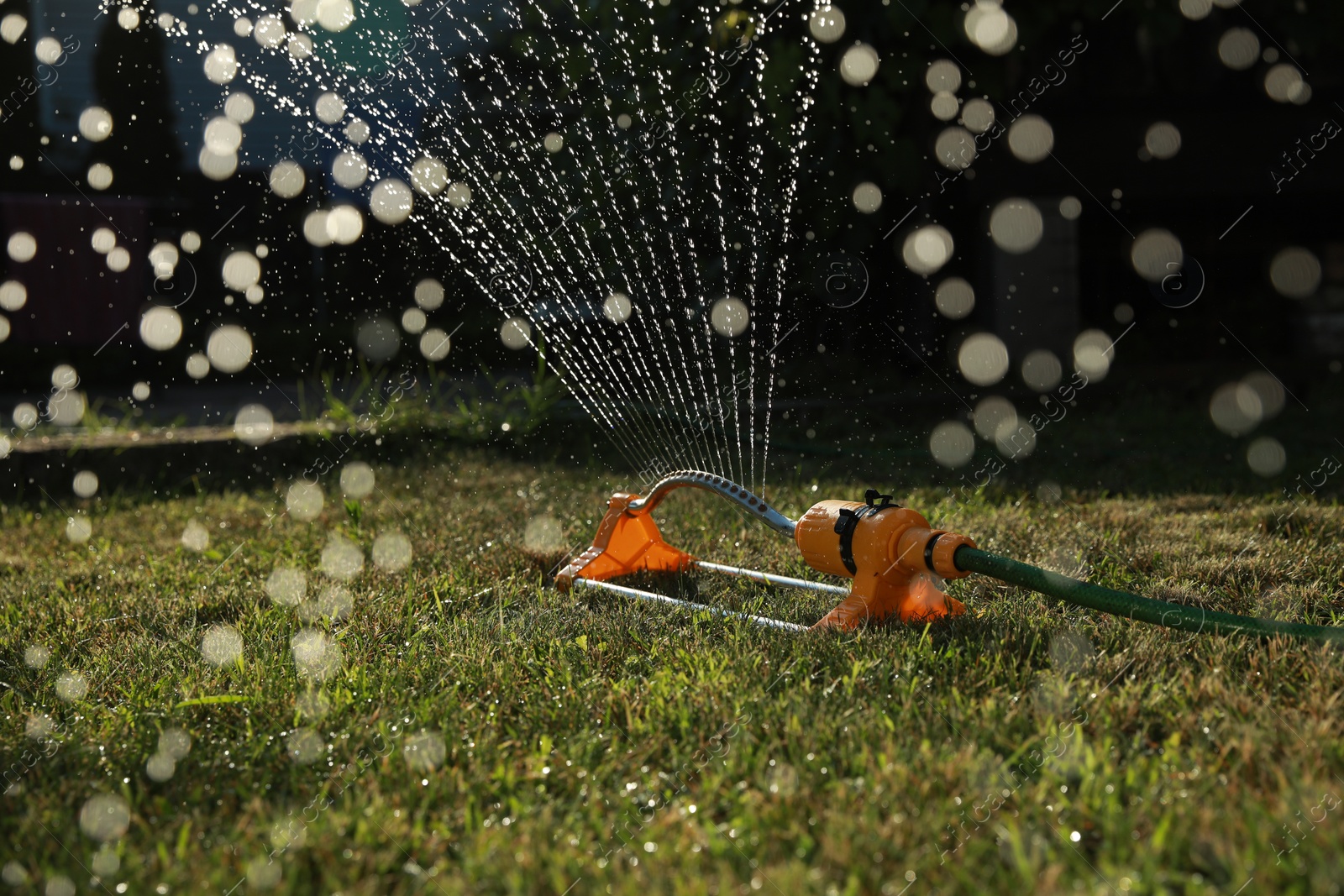 Photo of Automatic sprinkler watering green grass on sunny day outdoors. Irrigation system