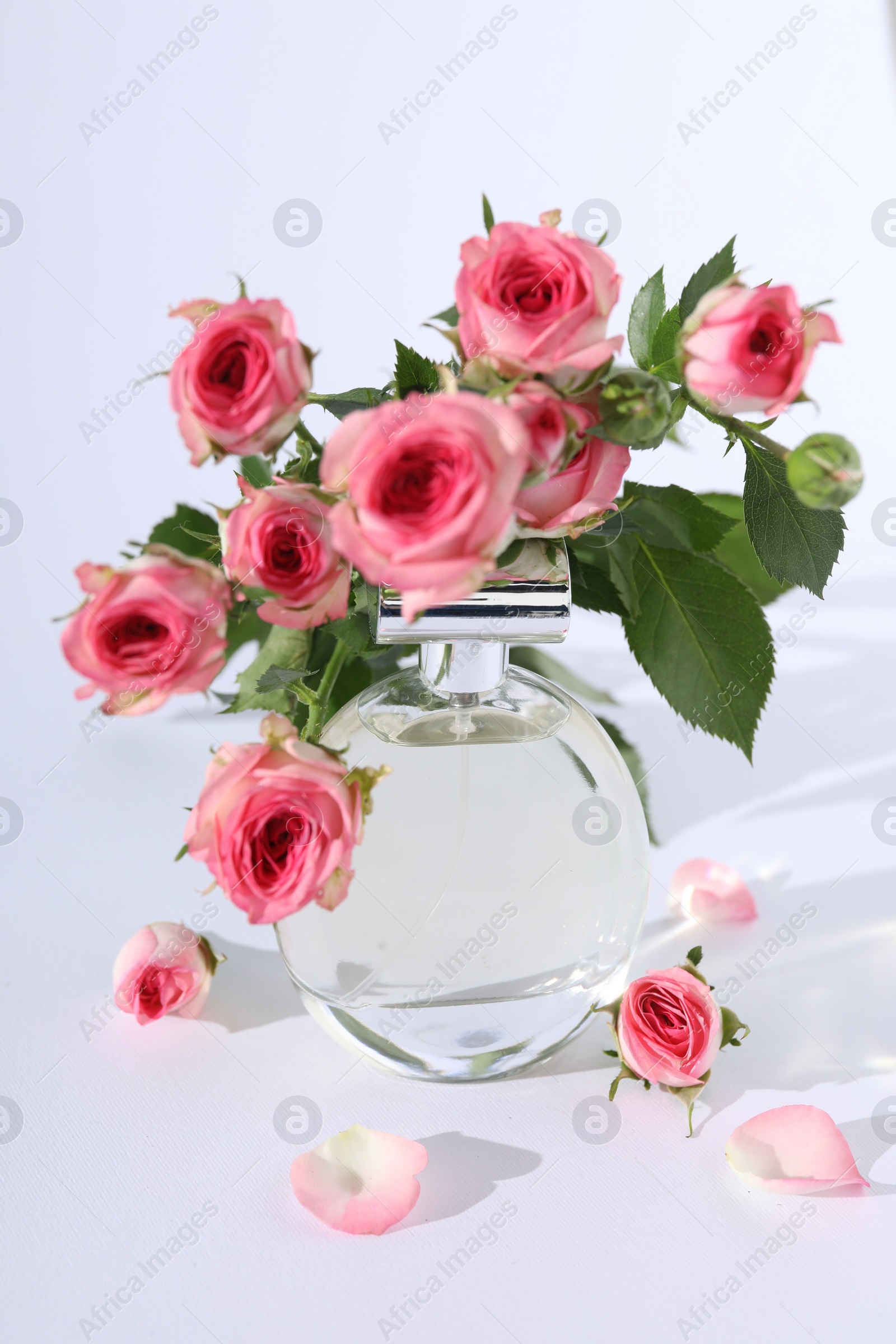 Photo of Bottle of luxury perfume and beautiful roses on white background. Floral fragrance