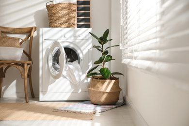 Modern washing machine and plant in laundry room interior