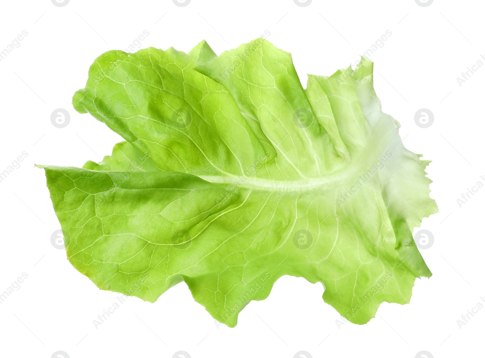 Photo of Fresh leaf of green butter lettuce isolated on white