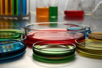 Photo of Petri dishes with colorful samples on table, closeup