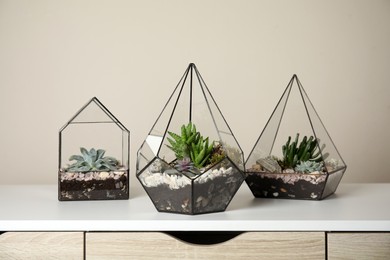 Photo of Glass florarium vases with succulents on white table indoors