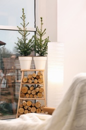 Photo of Small potted fir trees in light room. Interior design