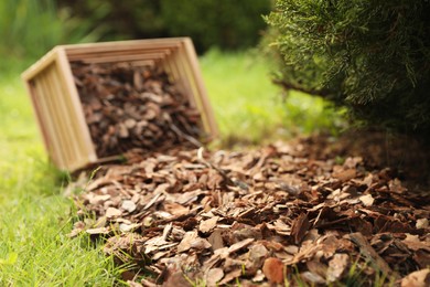 Photo of Wooden box with bark chips in garden, closeup