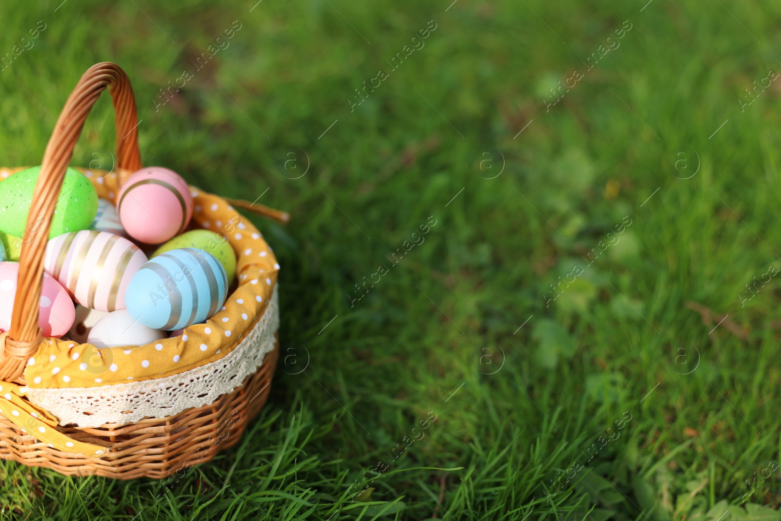 Photo of Easter celebration. Painted eggs in wicker basket on green grass, space for text