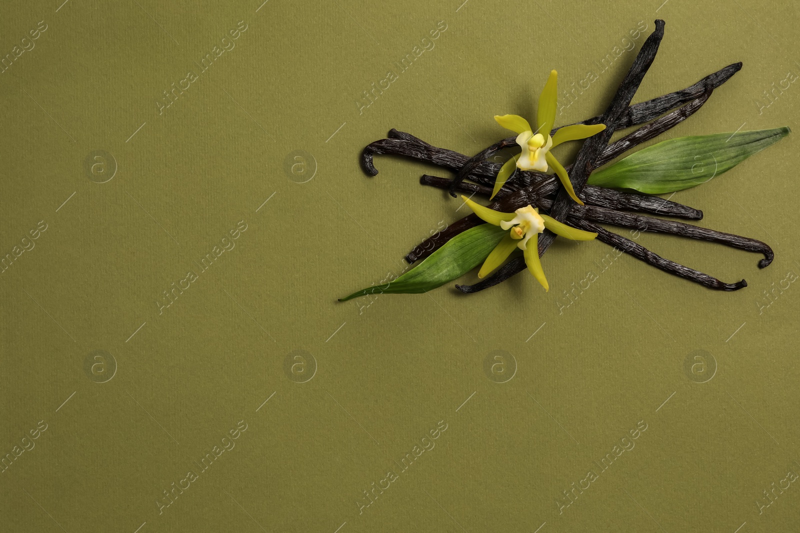 Photo of Vanilla pods, beautiful flowers and green leaves on olive color background, top view. Space for text