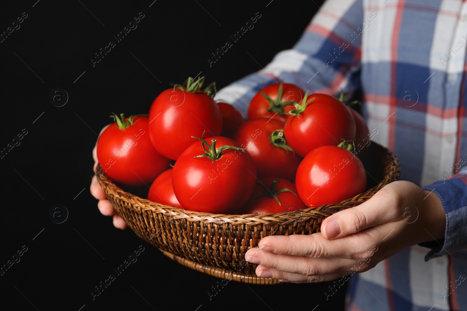 Photo of Woman with basket of ripe tomatoes on black background, closeup