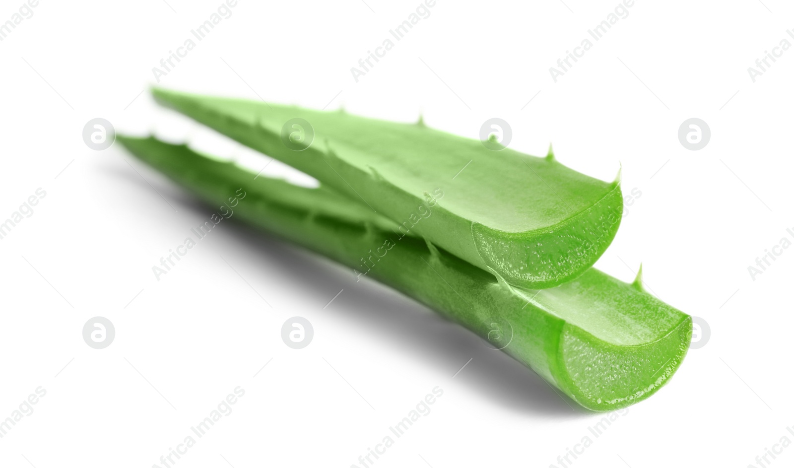 Photo of Fresh aloe vera leaves on white background