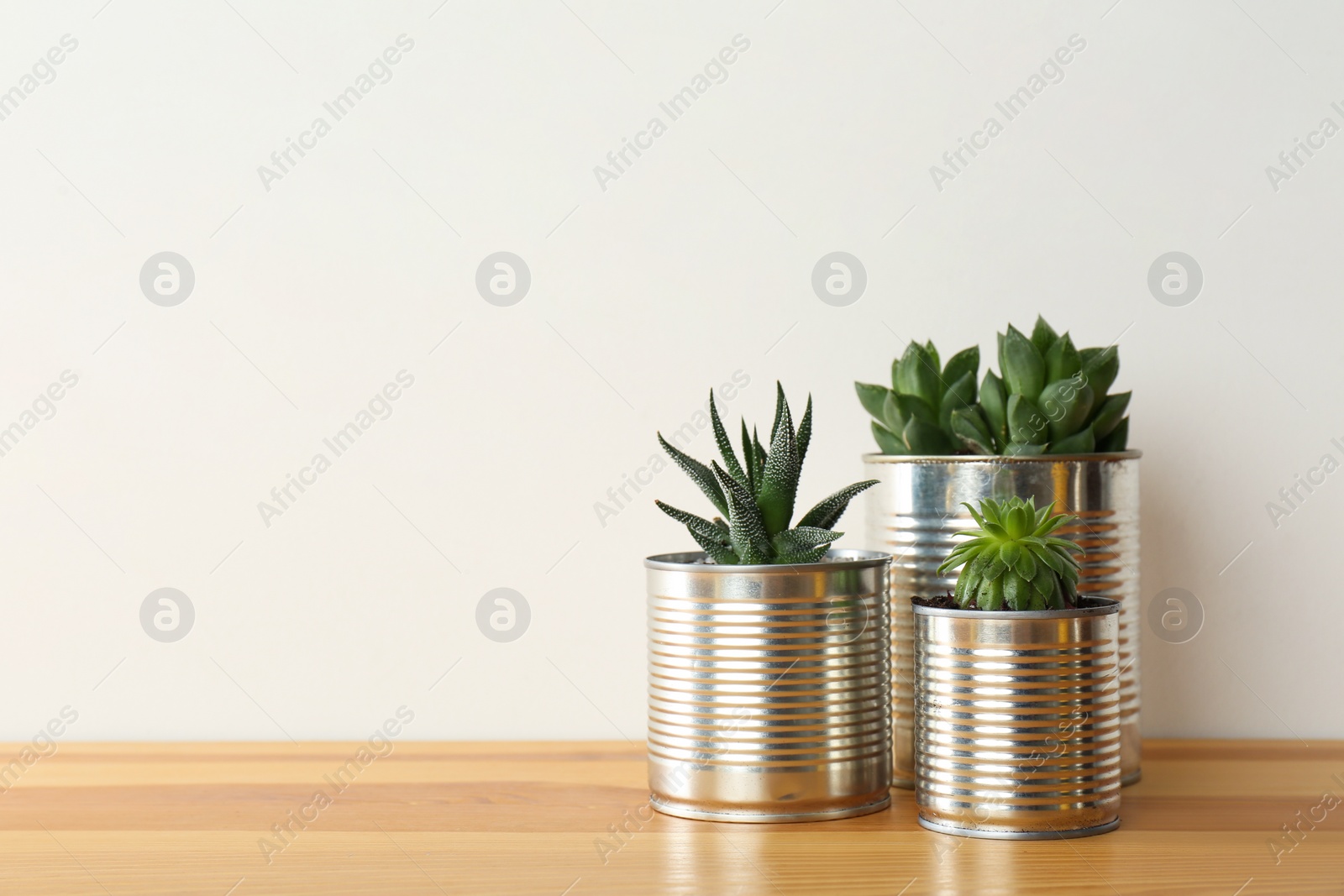 Photo of Houseplants in tin cans on wooden table. Space for text