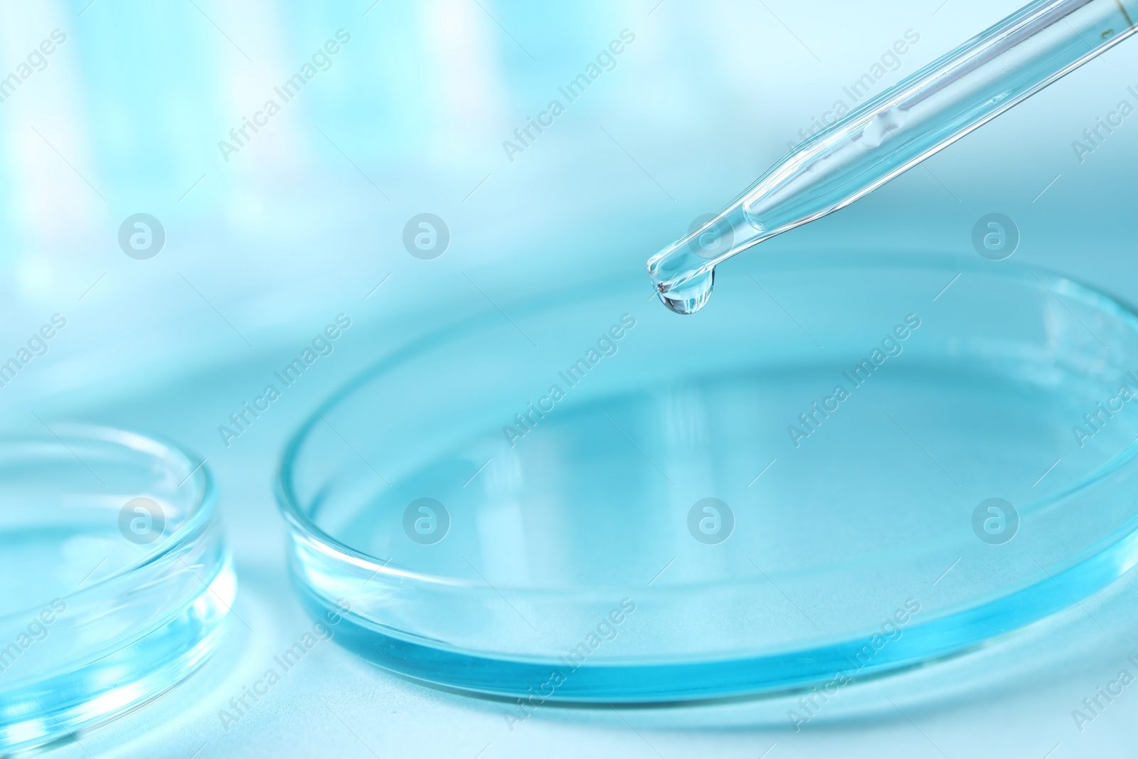 Photo of Dripping liquid from pipette into petri dish on blurred background, closeup. Laboratory analysis