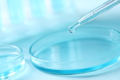 Dripping liquid from pipette into petri dish on blurred background, closeup. Laboratory analysis