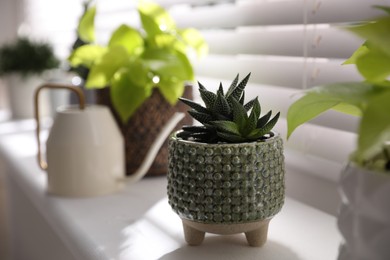 Photo of Beautiful potted plant on window sill indoors. Floral house decor