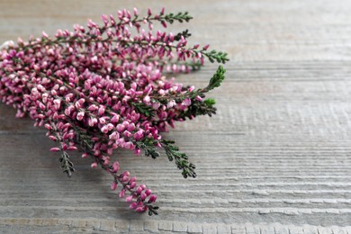 Photo of Heather branches with beautiful flowers on grey wooden table, closeup. Space for text