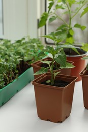 Photo of Different seedlings growing in plastic containers with soil on windowsill indoors