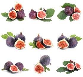 Set of cut and whole figs on white background