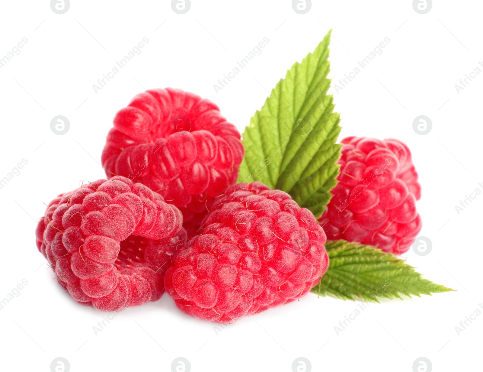 Photo of Delicious ripe sweet raspberries with leaves isolated on white