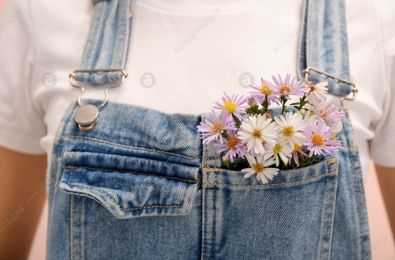 Photo of Woman with beautiful tender flowers in denim jumpsuit's pocket, closeup