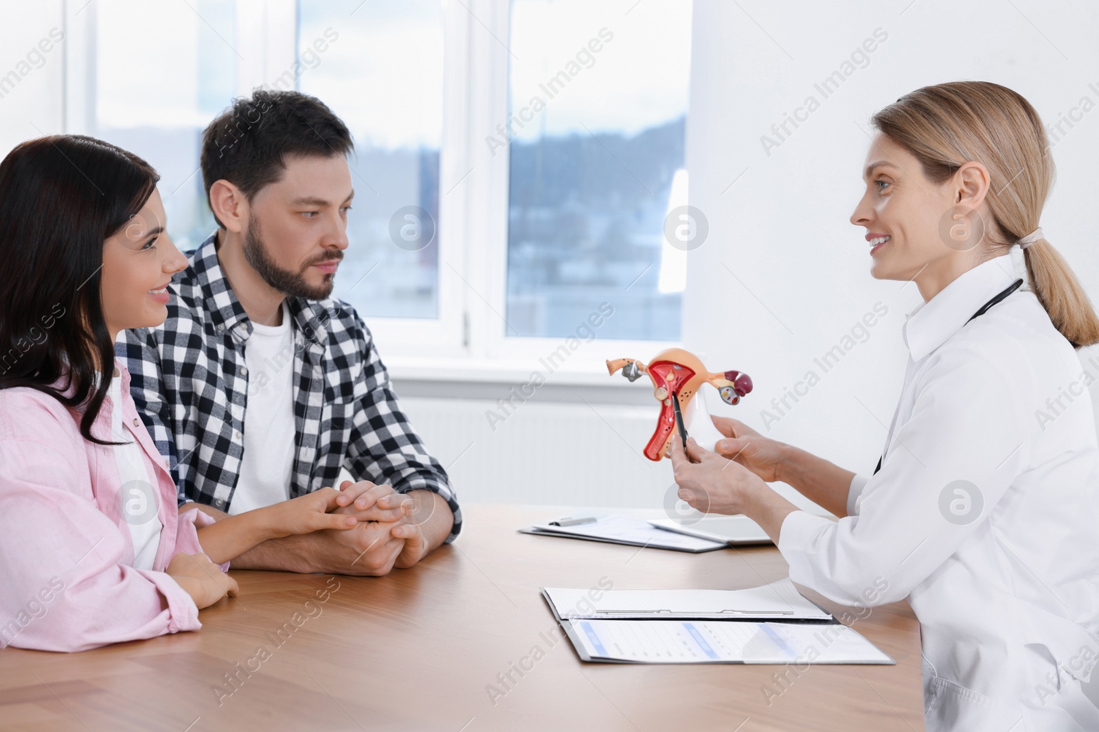 Photo of Fertility doctor demonstrating model of female reproductive system to couple in clinic. Patient consultation