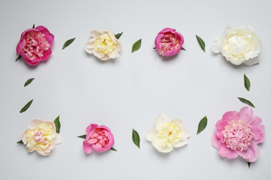 Beautiful fresh peonies and leaves on light grey background, flat lay. Space for text