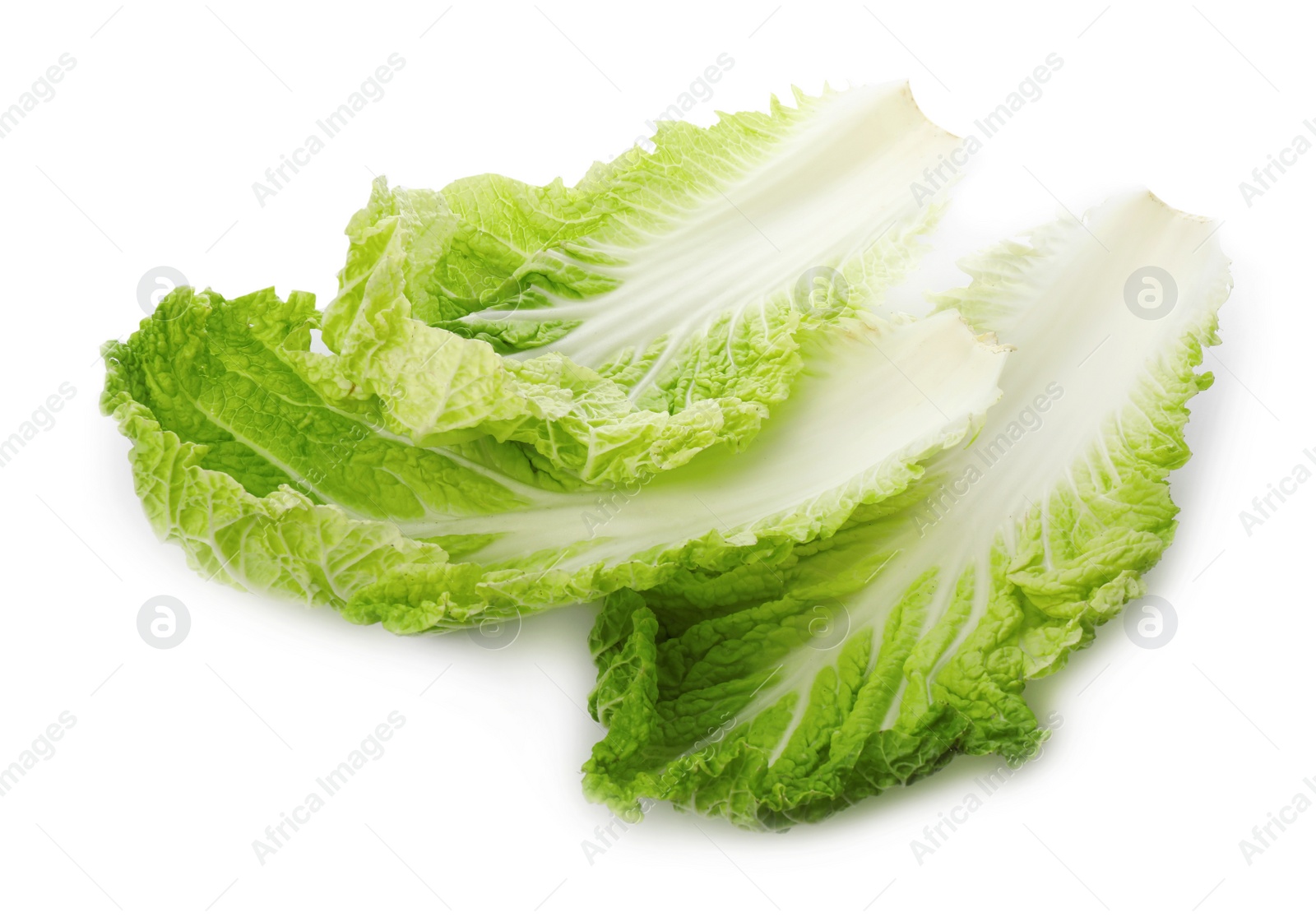 Photo of Leaves of Chinese cabbage on white background