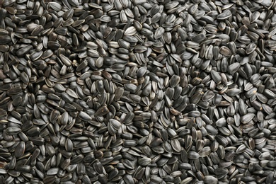 Photo of Sunflower seeds as background