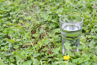 Photo of Glass with pure water in green grass outdoors, space for text